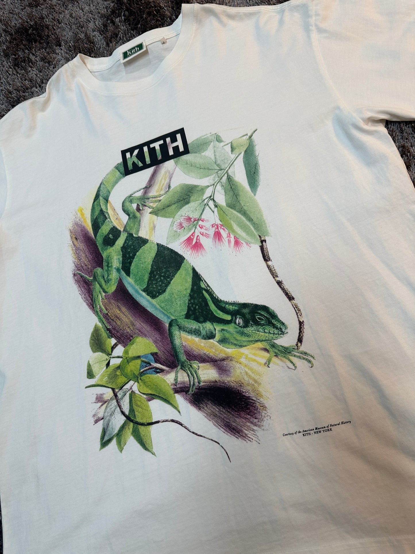 KITH x AMNH  Vintage Tee