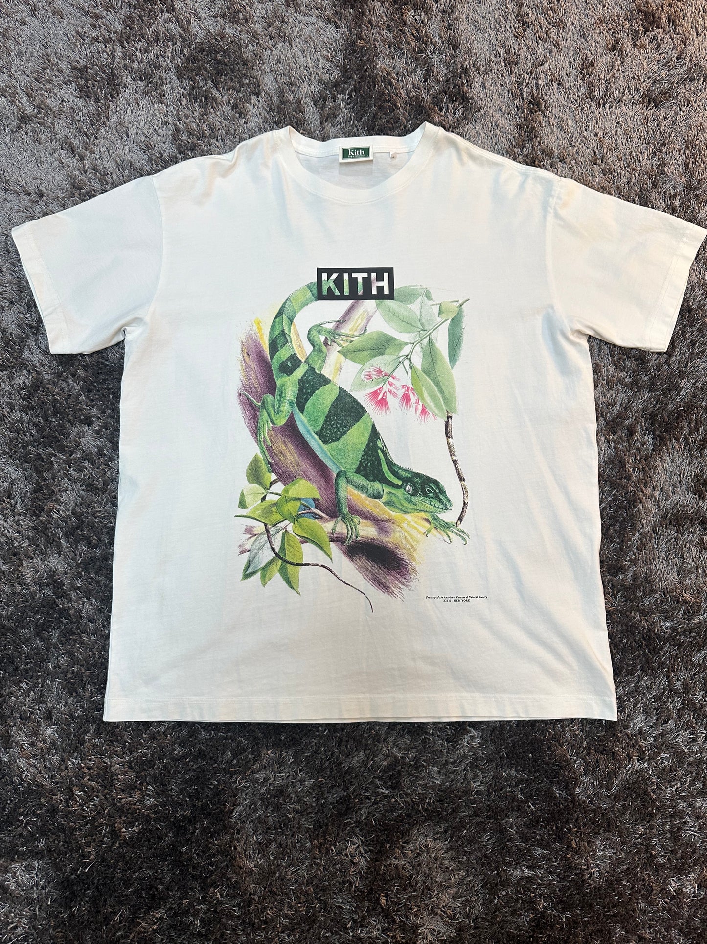 KITH x AMNH  Vintage Tee